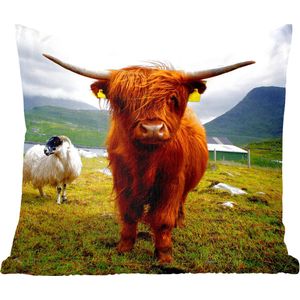 Sierkussens - Kussentjes Woonkamer - 40x40 cm - Schotse hooglander - Licht - Schapen
