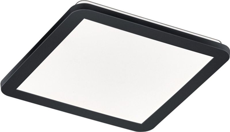 Reality Leuchten Camillus LED Plafondlamp Kunststof Zwart Mat Acryl Wit + LED 18W R62931832