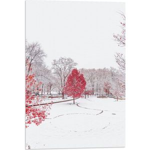 WallClassics - Vlag - Rode Boom in Witte Sneeuw - 40x60 cm Foto op Polyester Vlag