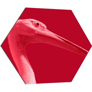 WallClassics - Dibond Hexagon - Roze vogel met Lange Snavel en Roze Achtergrond - 70x60.9 cm Foto op Hexagon (Met Ophangsysteem)
