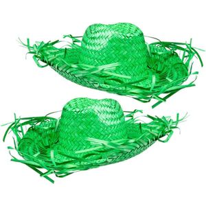 Toppers - Set van 2x stuks groene Tropische Hawaii thema strohoed met grote rand - Dames hoed