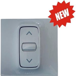 Somfy Inbouw drukknop Inis Keo met vast nulpunt