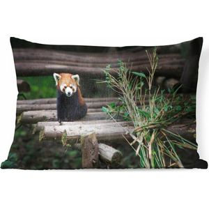 Sierkussen Rode panda voor binnen - Baby rode panda bij bamboe - 60x40 cm - rechthoekig binnenkussen van katoen