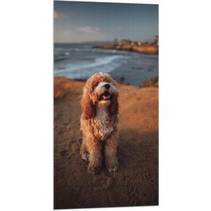 WallClassics - Vlag - Vrolijke Hond op het Strand - 50x100 cm Foto op Polyester Vlag