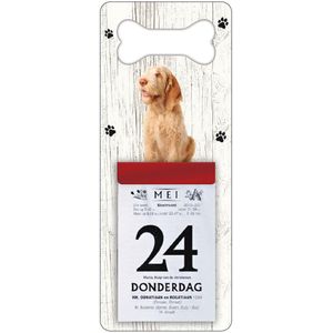 Scheurkalender 2024 Hond: Spinone Italiano
