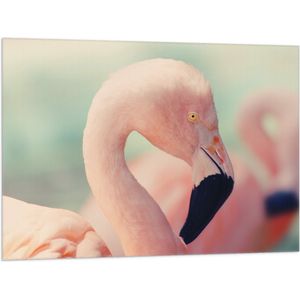 WallClassics - Vlag - Hoofd van een Roze Flamingo - 100x75 cm Foto op Polyester Vlag