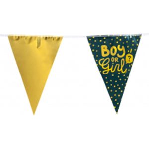 Feest vlaggenlijn ' Boy or Girl ' - 6 meter - 15 vlaggen - Donkergroen / Goud - Geboorte - Feestdagen