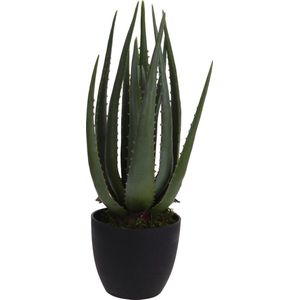 ProGarden - Kunstplant - in - pot - Aloe - Vera - 25x45 - cm