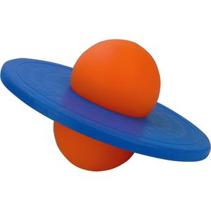 Didak Play Lolobal 38 cm met Volle Band