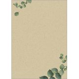 Sigel designpapier - A4 - motief Eucalyptus - tweezijdig - gras papier 100g - 100 vel - SI-DP615