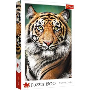 Trefl - Puzzles - ""1500"" - Portrait of a Tiger