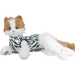 Medical Pet Shirt Kat Zebra Print - XXS