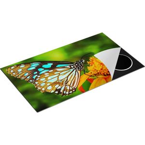 Chefcare Inductie Beschermer Blauwe Vlinder bij een Oranje Bloem - 90x52 cm - Afdekplaat Inductie - Kookplaat Beschermer - Inductie Mat