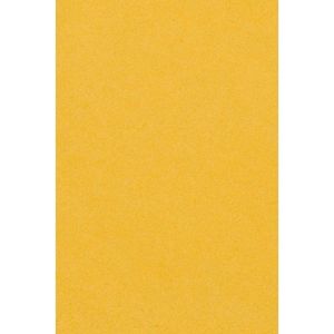 2x Gele papieren tafelkleden 137 x 274 cm - Tafeldecoratie