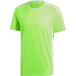 adidas Entrada 18 Trikot Heren Sportshirt - Solar Green/Wit - Maat S
