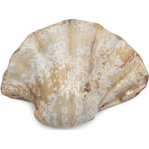 Riviera Maison Woonaccessoires Aardewerk Zeeschelp - Loulé Shell decoratief schaaltje