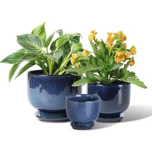 Keramische Plantenpotten Set van 3 voor Binnen - 6,8 inch tot 4,3 inch - Inclusief Afvoergat en Schotel - Perfect voor Orchideeën, Cactussen en Kruiden