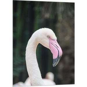 WallClassics - Vlag - Witte Flamingo met Roze Snavel - 70x105 cm Foto op Polyester Vlag