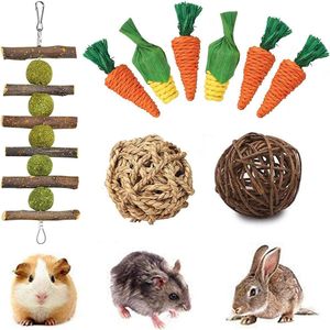 speelgoed voor dieren 9 konijnen speelgoed, kauwspeelgoed, konijnen kauwspeelgoed, kauwspeelgoed, kauwspeelgoed, konijnen, natuurlijke grascake, grasbal, kauwen molar speelgoed voor hamsterracemuizen