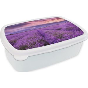 Broodtrommel Wit - Lunchbox - Brooddoos - Lavendel - Paars - Bloemen - Veld - 18x12x6 cm - Volwassenen