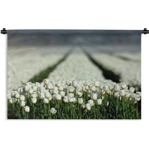 Wandkleed Witte tulpen - Close-up van een veld vol met witte tulpen Wandkleed katoen 180x120 cm - Wandtapijt met foto XXL / Groot formaat!