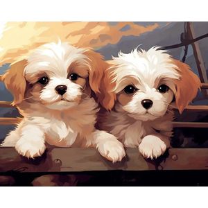 Schilderen op nummer Volwassenen – Schattige hondjes - 40 x 50 centimeter - Paint by numbers - Verven - Volwassenen - Cadeau voor man en vrouw