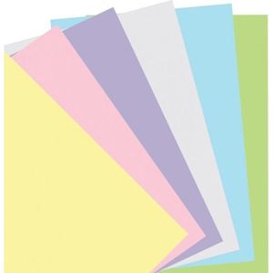 Filofax Vellen Pocket 14 X 9 Cm Papier Pastel 60 Stuks
