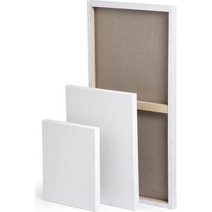 CO Professional Canvas 40x60 Schildersdoeken 3 stuks