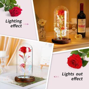 roos in glas Belle en het Beest Rose in glazen koepel, Sparkly Galaxy Rose met LED-verlichting, cadeaus voor vrouwen oma verjaardag vriendin (rood)
