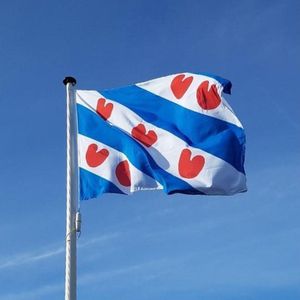 CHPN - Vlag - Vlag van Friesland - Friese vlag - Friese Gemeenschaps Vlag - Provincie Friesland - 90/150CM - Fries - Fryslan - Frys - Zonder stok