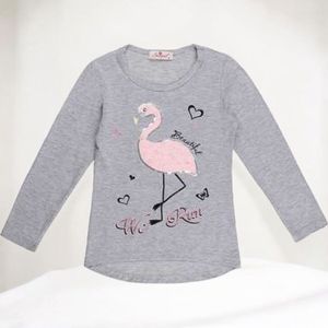 Seagull longsleeve t-shirt grijs flamingo we run 158/164