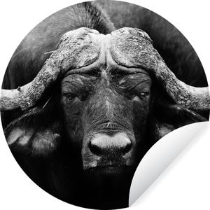 Behangcirkel - Zelfklevend behang - Dieren - Buffalo - Zwart - Wit - ⌀ 140 cm - Behang cirkel - Behangcirkel dieren - Behang rond - Woonkamer