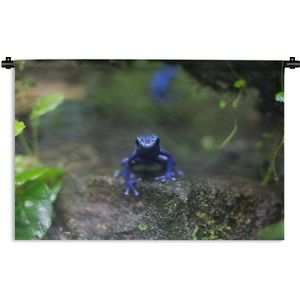 Wandkleed Junglebewoners - Blauwe kikker in de jungle Wandkleed katoen 90x60 cm - Wandtapijt met foto