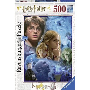 Harry in Hogwarts Puzzel (500 stukjes, Harry Potter thema)