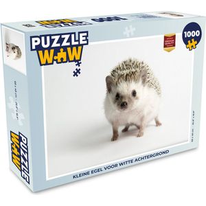 Puzzel Kleine egel voor witte achtergrond - Legpuzzel - Puzzel 1000 stukjes volwassenen