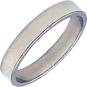 Tesoro Mio Michel – Stalen Ring – Man of Vrouw – Simpele Band Staal – 21 mm / Maat 66