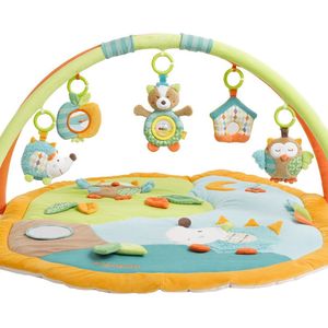 Babygym, Baby cadeau - jongen & meisje, Dierenvriendjes Speelmat, Interactief Speelgoed - Multikleuren.