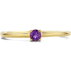 Ring Met Geboortesteen Amethyst 0.12ct Februari