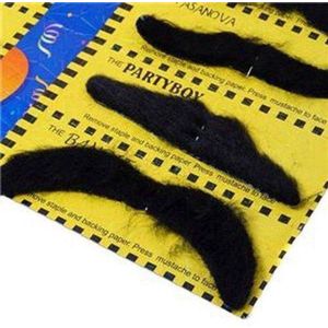 CHPN - Nepsnorren - Nepsnor - 6stuks - Fake moustache - Carnaval - Party - Verkleedaccessoire -- Verkleden - Halloween - Set nep snorren - Snor