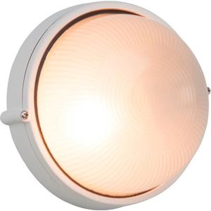 Brilliant SILVESTER - Buiten plafondlamp - Transparant;Wit