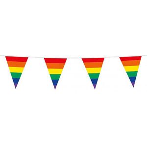Regenboog vlaggenlijn - Vlaggetjes - Pride - Gay pride - Vlaggen - Flag - LGBTQ - 10 meter - Kunststof - multicolor