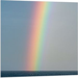 WallClassics - Vlag - Heldere Regenboog Landend in Zeewater - 80x80 cm Foto op Polyester Vlag