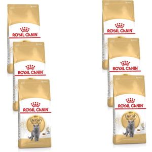 Royal Canin Fbn British Shorthair - Kattenvoer - 6 x 400 g