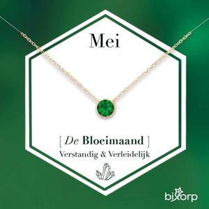 Bixorp Geboortesteen Ketting Mei - 18k Goud Verguld Roestvrij Staal met Zirkonia Hanger - Stainless Steel - Smaragd