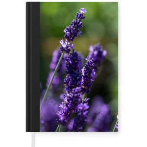 Notitieboek - Schrijfboek - Close-up van lavendel tegen een groene achtergrond - Notitieboekje klein - A5 formaat - Schrijfblok