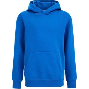 WE Fashion Blue Ridge Unisex Hoodie Kobaltblauw