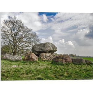 WallClassics - Vlag - Grote Stenen in het Veld - 40x30 cm Foto op Polyester Vlag