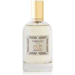 Uniseks Parfum Enrico Gi EDP Oud Magnifico (100 ml)