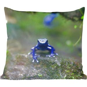 Sierkussens - Kussentjes Woonkamer - 60x60 cm - Blauwe kikker in de jungle