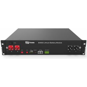 Dyness B4850 LiFePO4 Batterijmodule 2.4~96 kWh Batterij + BMS en Cover - Thuisbatterij Zonnepaneel